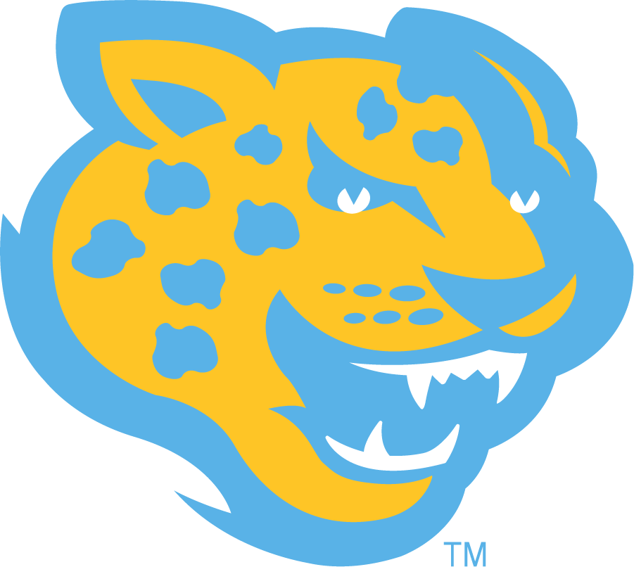 Southern Jaguars 2016-Pres Secondary Logo diy iron on heat transfer